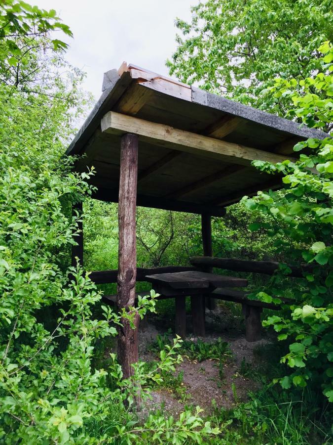 Gaestehaus Hohetanne1 Grossbreitenbach Esterno foto